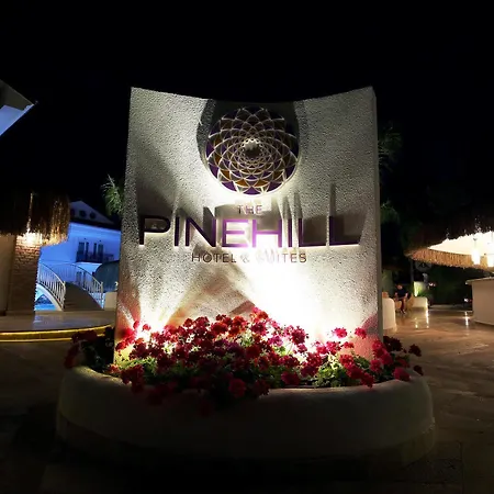 Pinehill & ホテル