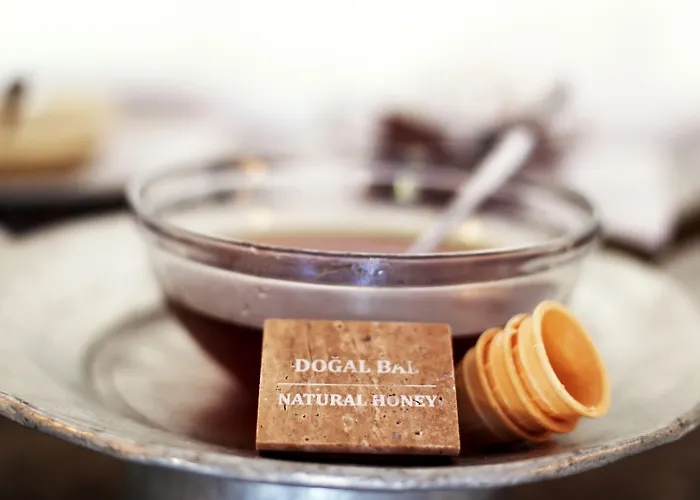 فندق بينيل هوتل&سويتس أولدينيس