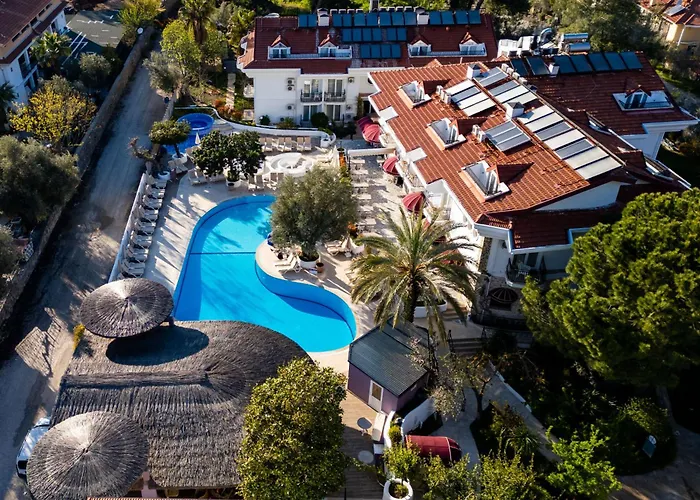 Hotel Pinehill & 3*